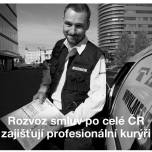 Case study ČEZ